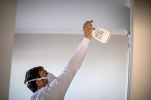 Best Office Mold Removal Services  in Fris, CO