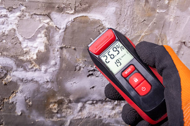 Mold Testing and Removal in Frisco, CO