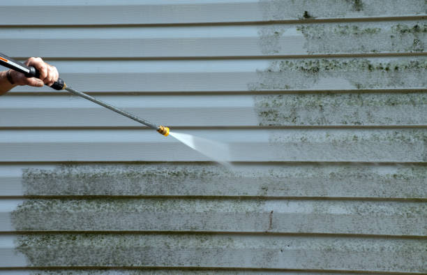 Best Attic Mold Removal  in Fris, CO